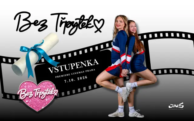 Vstupenka, PIN a plakát.