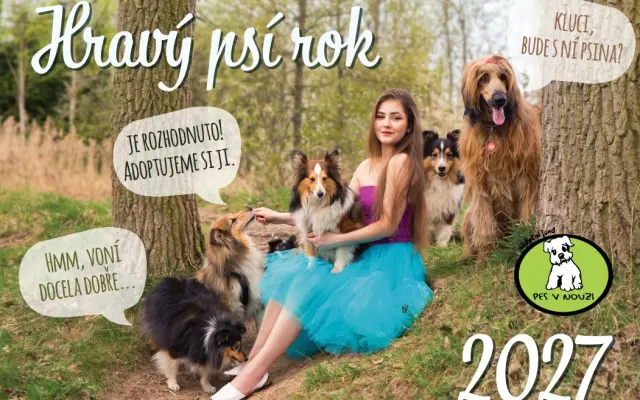 Nástěnný kalendář 2027 - doručení na adresu