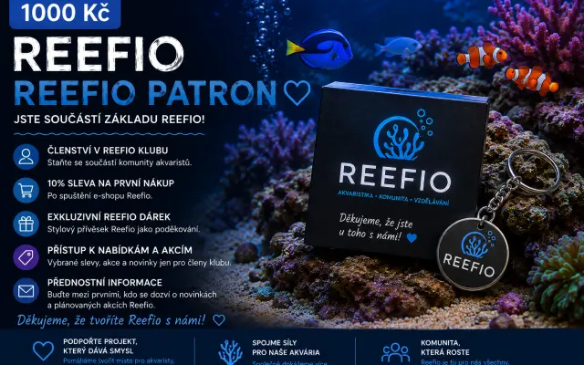 🐠 REEFIO PATRON