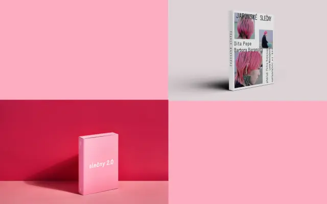 PINK: 2 různé knihy o slečnách + poštovné