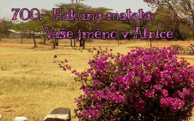 Hakuna matata - Vaše jméno v Africe