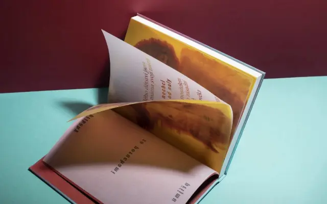 Kniha "Toho dna se dotýkám už málo" od Martiny Lupínkové