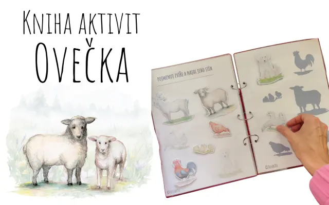 Kniha aktivit - Ovečka (2 varianty obtížnosti)