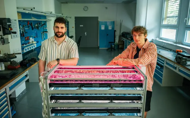 Vaše jméno na duckweed kultivátoru v Paříži
