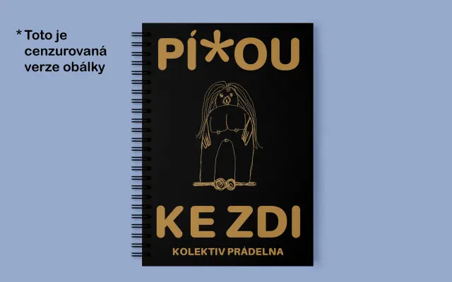 Kniha kolektivu Prádelna s vyzvednutím v Praze