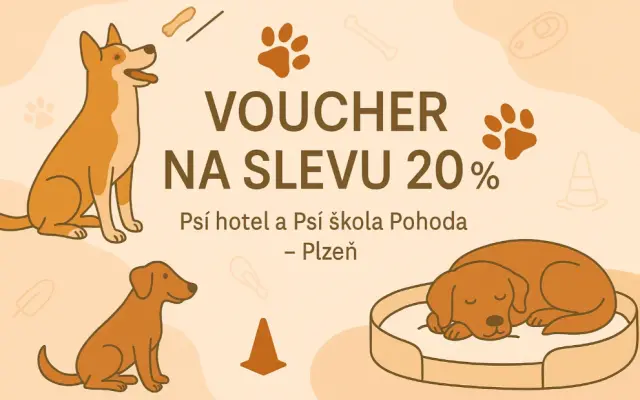 Zážitkový den s pejsky + 20% doživotní sleva