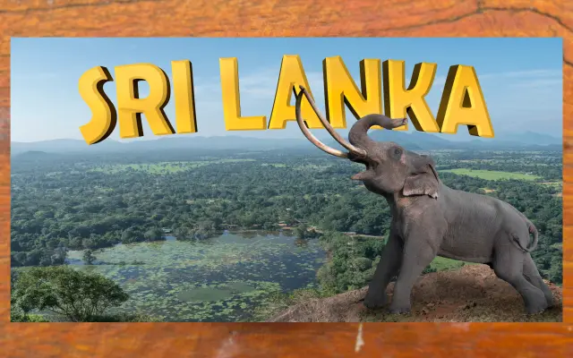 Pohled ze Šrí Lanky