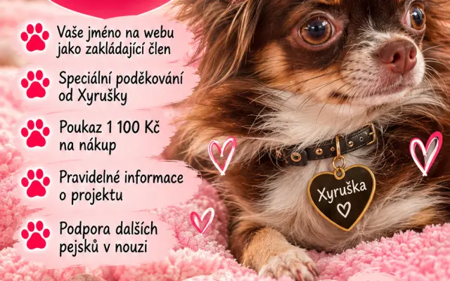 Zakládající člen Xyřiny tlapky