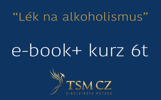 E-book + základní podpůrný kurz TSM (6t)