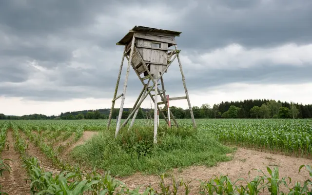 Kniha a autorská fotografie