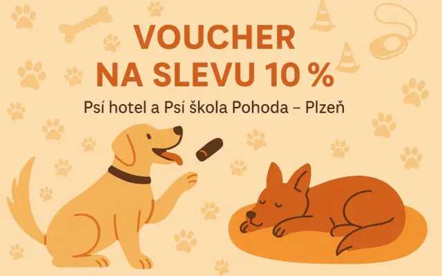 Zážitkový den s pejsky a 10% doživotní sleva