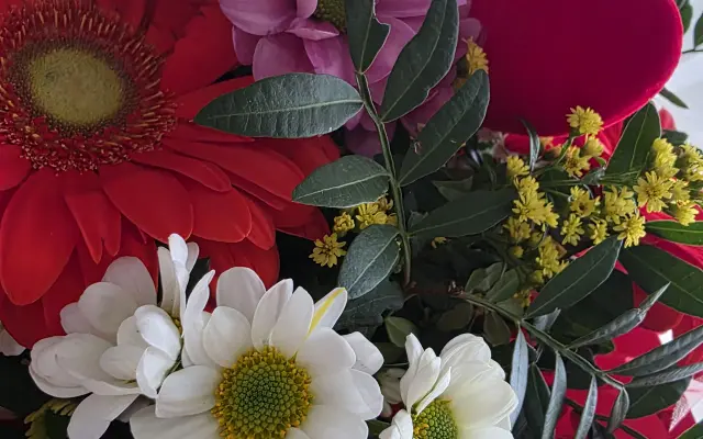 Nechci dárek, jen přispět