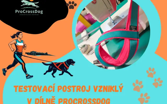 Testovací postroj ProCrossDog
