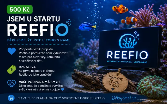🐠 ODMĚNA – JSEM U STARTU REEFIO