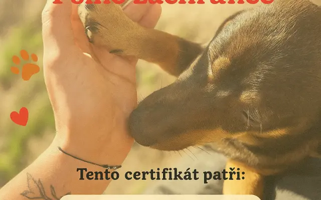 Certifikát Psího zachránce