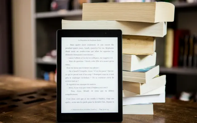 1x stažení knihy v .pdf formátu