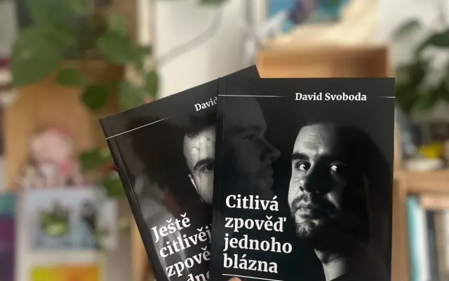 Kniha 1 a 2 díl od Davida Svobody - Citlivá zpověď jednoho blázna