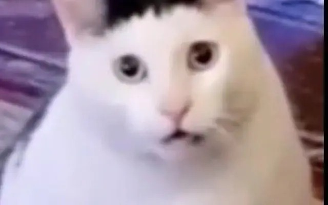 Hypermecenášství