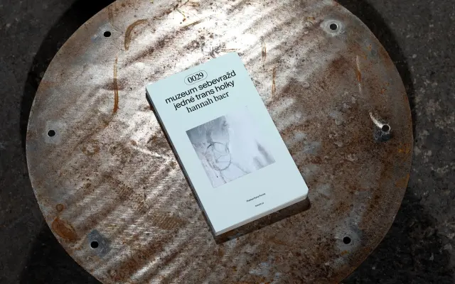1x kniha hannah baer „muzeum sebevražd jedné trans holky"