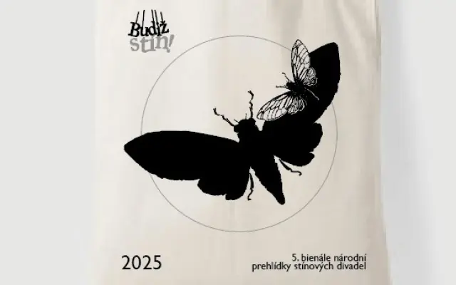 Taška světlá