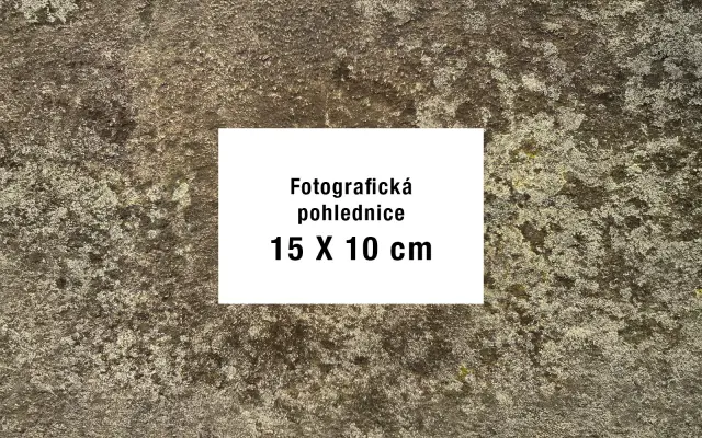 Knížku nepotřebuji, ale rád/a bych měl originální pohlednici od Klause ● Ich möchte nicht das Buch, sondern eine Postkarte von Klaus