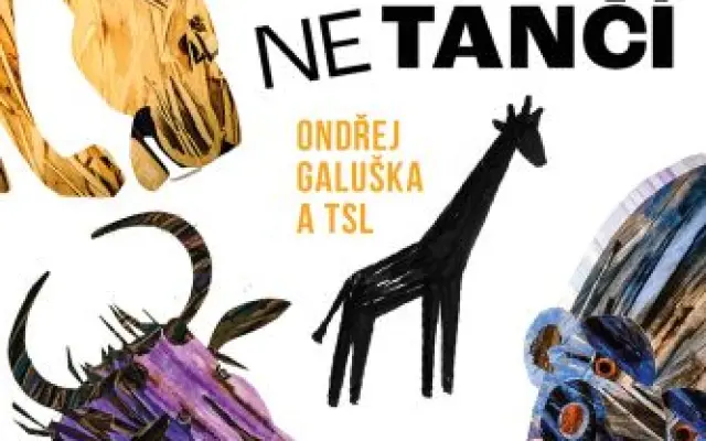 Ondřej Galuška a spol.