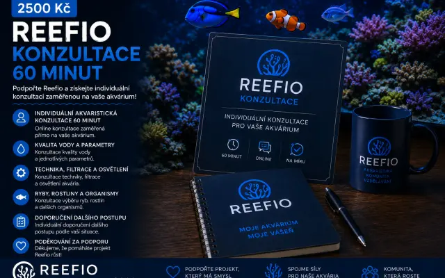 🐠 REEFIO KONZULTACE – 60 MINUT