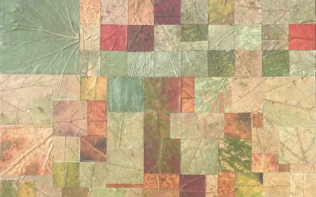 Milah van Zuilen: Český les. 30 x 30cm. 2024