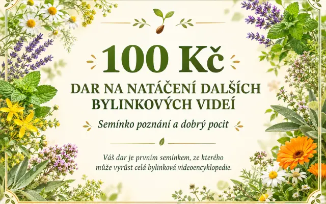 100 Kč - semínko poznání a dobrý pocit