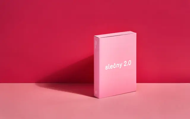 1x kniha Slečny 2.0 + poštovné
