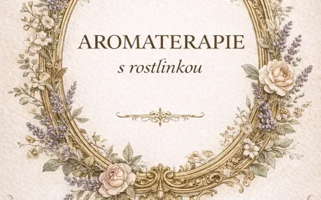 🌿 Autorská e-knížka AROMATERAPIE s rostlinkou 🌱
