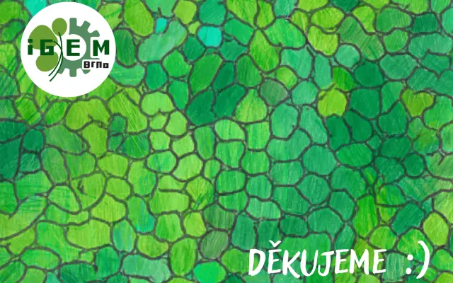 Duckweed kuchařka + pohlednice iGEM Brno týmu