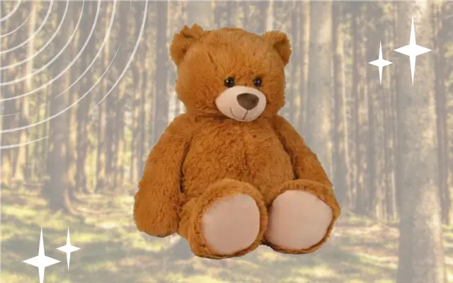 🧸 Plyšový medvídek