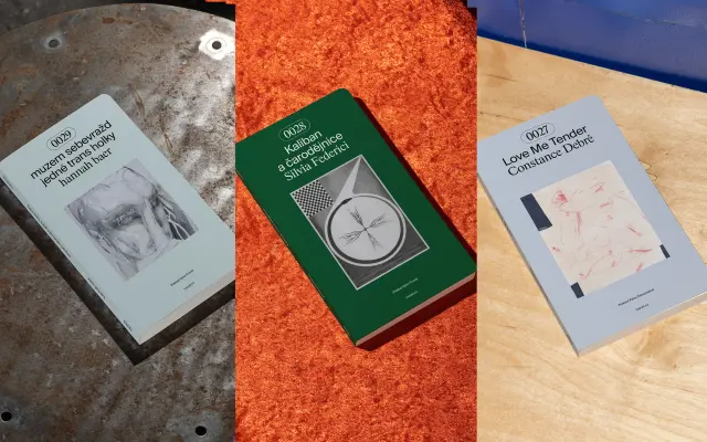 „Vzpurný balíček“ – Silvia Federici, hannah baer, Constance Debré