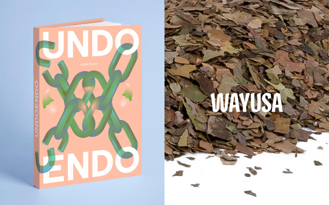 Kniha UNDO ENDO + Amazonský čaj Wayusa 🌿