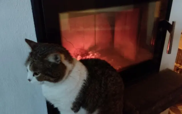 Hřejivý pocit, podpora jen tak.