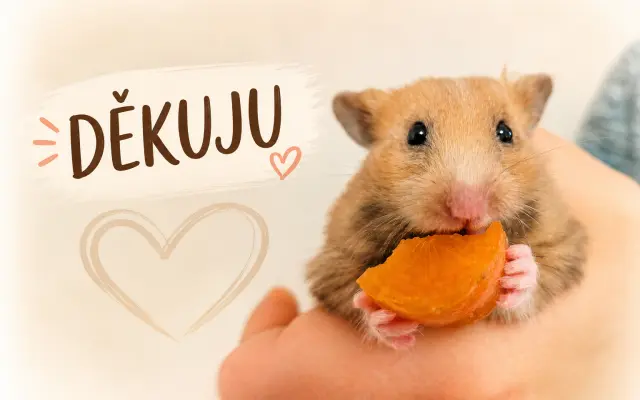 Fotka našeho zvířátka s poděkováním