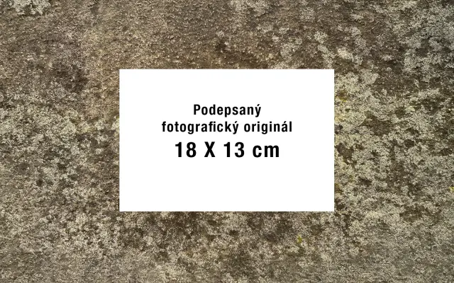 Chci knížku „Opuštěné zázraky“ s podpisem a k ní Klausův fotooriginál 13 x 18 ● Ich will das signierte Buch „Verlassene Wunder“ und eine signierte Originalfotografie von Klaus dazu