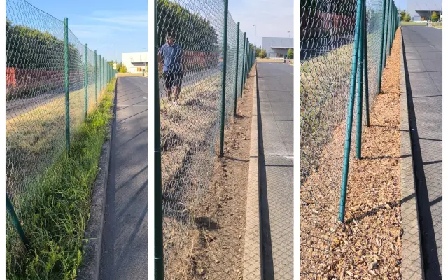 Zahradní práce - Úprava vaší Zahrady nebo firemního pozemku