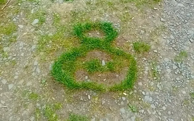 Hřejivý pocit - rád/a přispěji