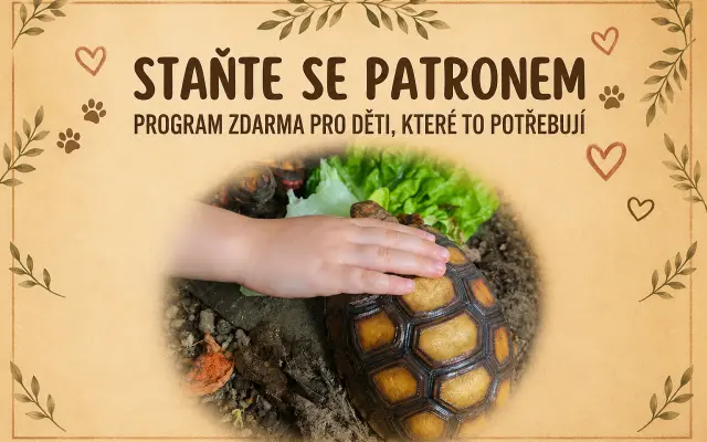 Staňte se patronem jednoho z nemocných dětí, které k nám bude moci přijít na program zdarma.