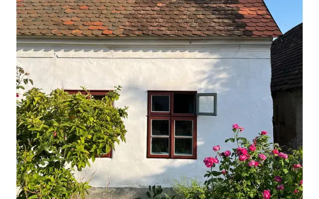 Návrat na místo činu