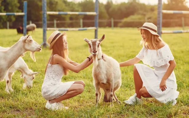 🏷️ Permanentka na vstup zdarma na farmu