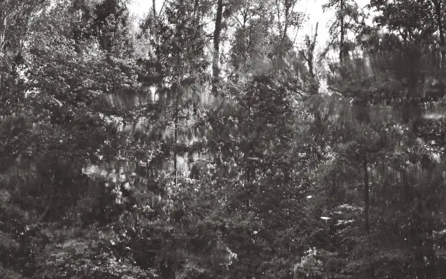 Fotografie od Kláry Černé