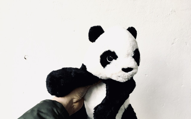 Autentická panda ze Sezuanu