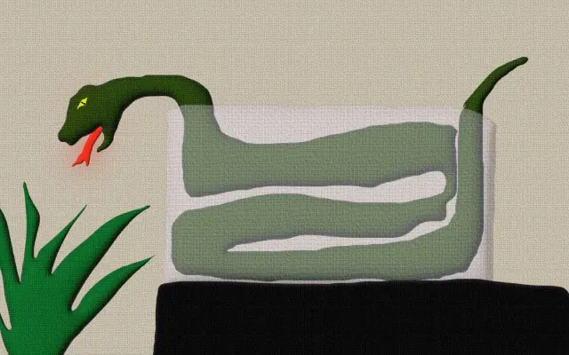 Mimořádná podpora + merch Page Not Found dle vlastního výběru