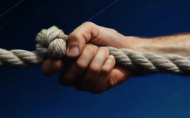 HLAVNÍ PARTNER FILMU