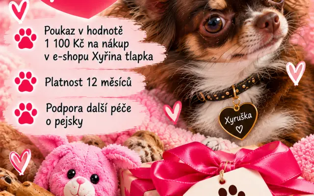 Poukaz 1 100 Kč