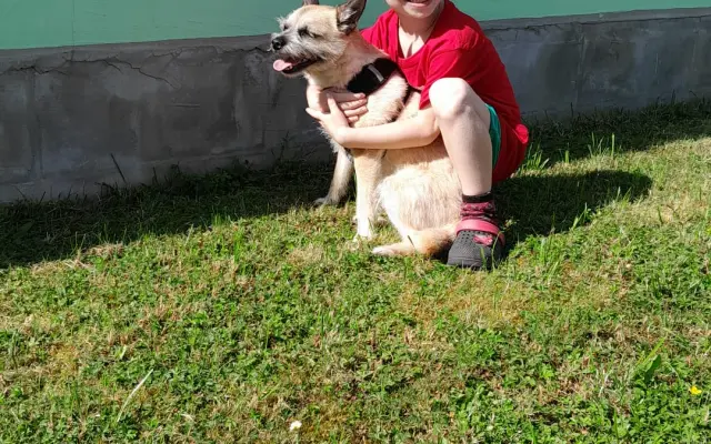 Předplatné ročního školného pro vaše dítě ve škole Zlatý lev