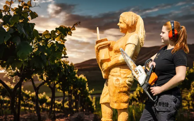 Kurz řezby soch motorovou pilou pro 1 osobu